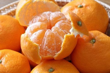 みかんは冷蔵庫で保存すべき？野菜庫に入れる季節とポイントを紹介