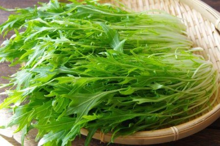 水菜の冷凍と冷蔵保存！常備したい便利な野菜のストック方法