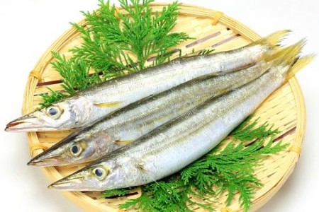 魚のかますの特徴とは？味や値段・おすすめ料理まで紹介