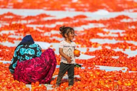 A Look at Life in Turkey