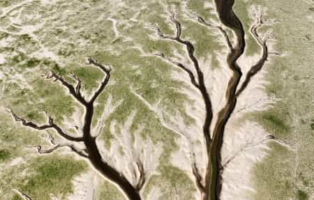 View from Above