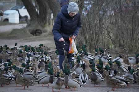 A Look at Life in Russia